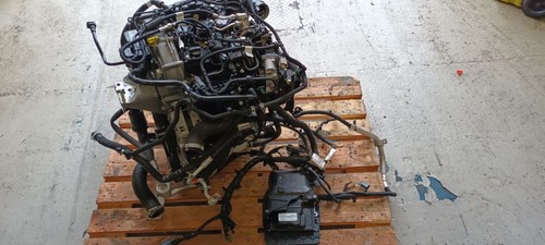 2024 ford transit connect - 2024,