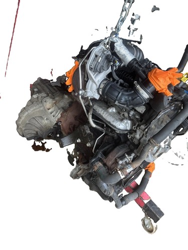 Ford transit litre - wet, belt